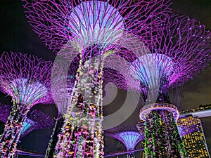 Nightshot @ Gardens by the bay