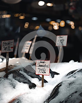 Nighttime display of fresh fish for sale at a vibrant wet market.