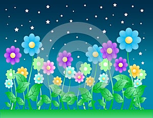 Nighttime Flower Background