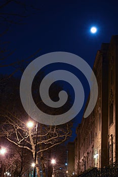 Nighttime shot of the moon, street lamps, and building facade in Harlem, New York, NY, USA