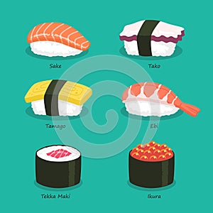 Nigiri Sushi icon set with names, Sake, Tako, Tamago, Ebi, Tekka Maki, Ikura, Japanese seafood, Vector Illustration.