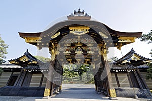 NijÅ Castle