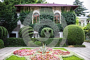 Nikitsky botanical garden in Crimea