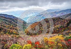 Nikko National Park