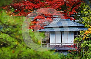 Nikko Shoyoen publish garden at nikko in japan
