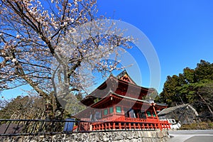 Nikkozan Rinnoji Temple (Buddhist complex with a renowned wooden hall)