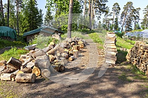 Nikolsky Island, Valaam. Woodpile of firewood