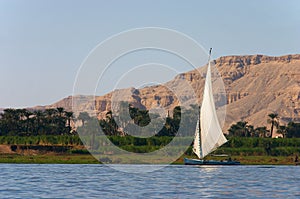 Nile Felucca