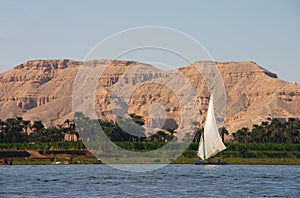 Nile Felucca