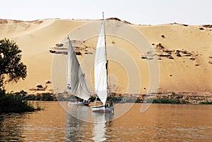 Nile felucca