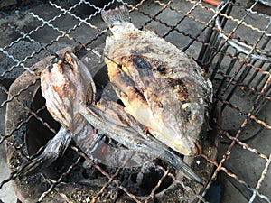 Nile fish with salt on stove