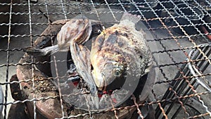 Nile fish with salt on stove