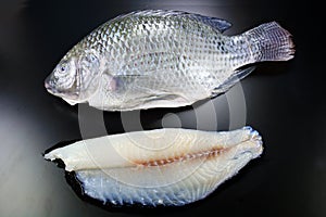 Nile tilapia fillet