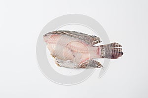 Nile tilapia fishbone on white background