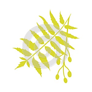 Nimtree, medicinal icon isolated on white background flat