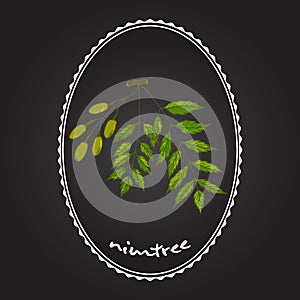 Nimtree, medicinal plant