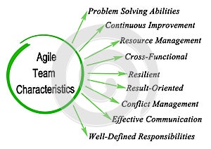 Nine Agile Team Characteristics