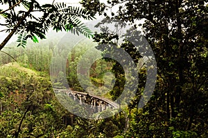 Nine-arch bridge in Sri Lanka. Beautiful railway bridge in Asia. Nature of Sri Lanka. Tea plantations in Asia.