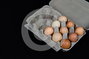 Nine chicken eggs in a carton box, isolated on black mat background