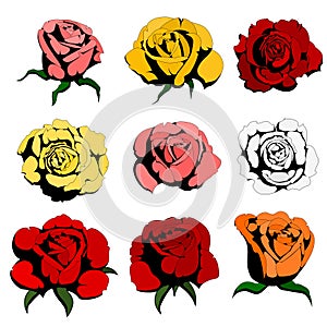 Nine color roses