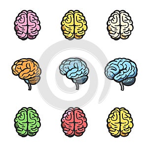 Nine colorful brain icons, different color schemes isolated white background. Set showcases human photo