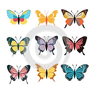 Nine colorful butterfly illustrations displayed against solid background. Collection features