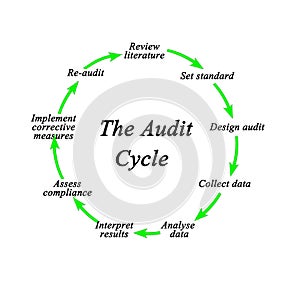 Components of Audit Cycle