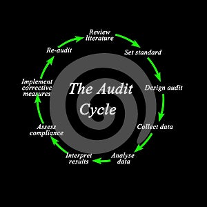 Components of Audit Cycle