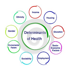 Nine Determinants of Health