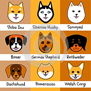 nine dog breeds in cute cartoon style
