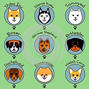 Nine dog breeds in cute cartoon style on green background