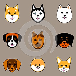 Nine dog breeds in cute cartoon style on grey background