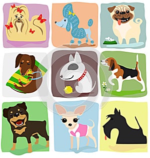 Nine dog breeds