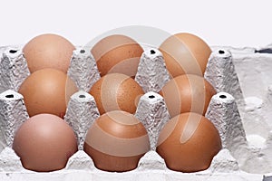 Nine eggs