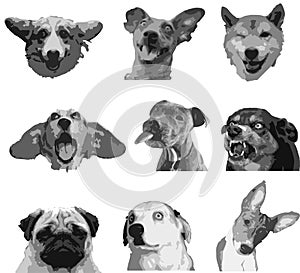 Nine emotions of purebred dogs