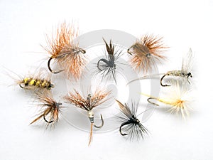 Nine flies for flyfishing