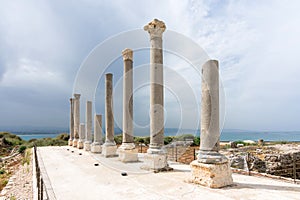 Nine granite columns, palaestra in Al Mina archaeological site, Roman ruins in Tyre, Lebanon