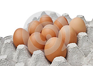 Nine hen eggs in egg tray isolated on white background