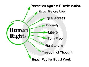 Nine Human Rights