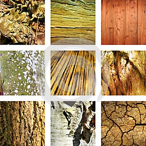 Nine images of wood