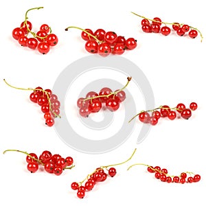 Nine juicy currant. Fresh red currant isolated on white background