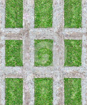 Nine lawn rectangle blocks or fields of green grass with   concrete pathway