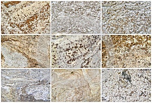 Nine Natural Limestone Background or textures