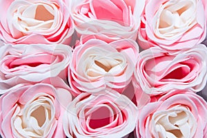 Nine pink-white soap buds of roses.