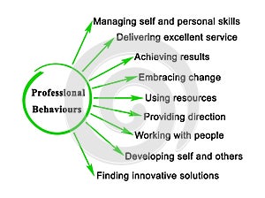 Nine Professional Behaviours