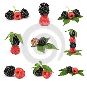 Nine Ripe blackberry and raspberry