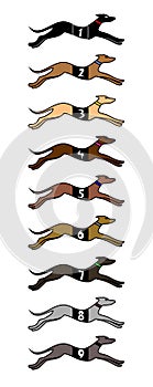 Nine speed dogs
