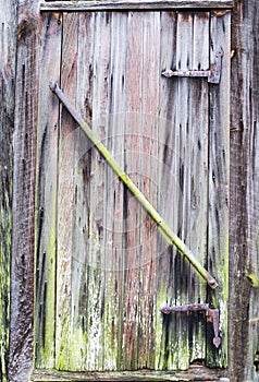 Nineteenth Century Door Hinges