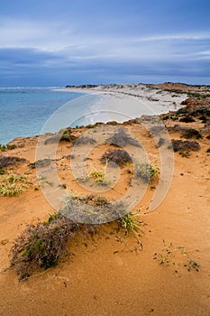Ningaloo Reef Australia beach sea shore beautiful winter