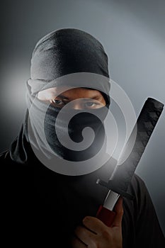 Ninja assassin photo